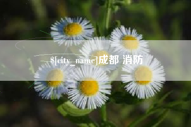 青海成都 消防