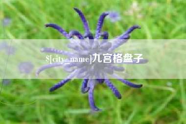青海九宫格盘子