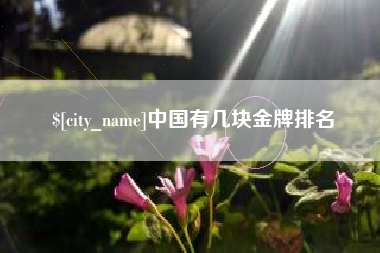 青海中国有几块金牌排名