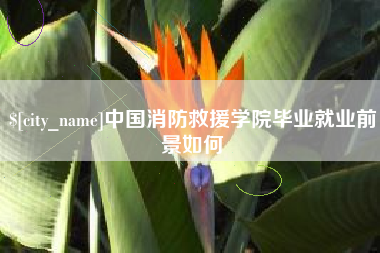 青海中国消防救援学院毕业就业前景如何
