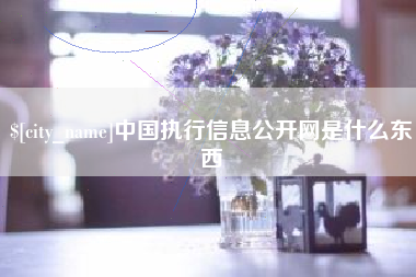 青海中国执行信息公开网是什么东西