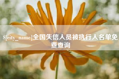 青海全国失信人员被执行人名单免费查询