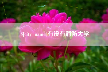 青海有没有消防大学