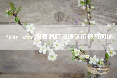 青海国家消防救援队伍报名网址
