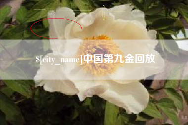 青海中国第九金回放