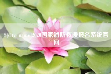 青海2020国家消防救援报名系统官网