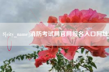 青海消防考试网官网报名入口网址
