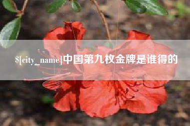 青海中国第九枚金牌是谁得的
