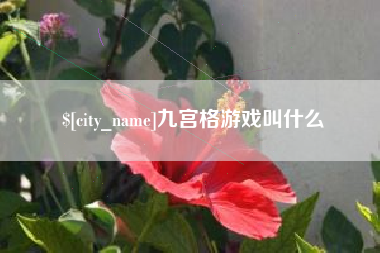青海九宫格游戏叫什么