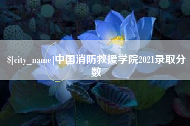 青海中国消防救援学院2021录取分数