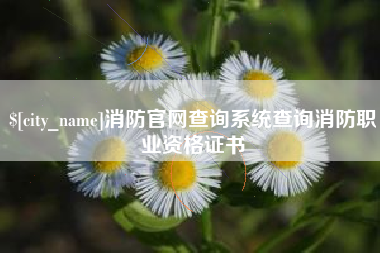 青海消防官网查询系统查询消防职业资格证书
