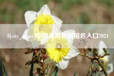 青海中国消防官网报名入口2024