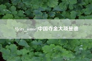 青海中国夺金大项是谁