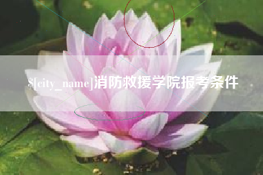 青海消防救援学院报考条件