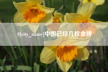 青海中国已经几枚金牌