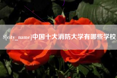 青海中国十大消防大学有哪些学校