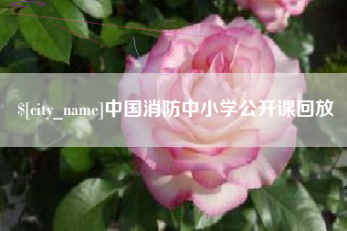 青海中国消防中小学公开课回放