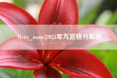 青海2021年九宫格分解图