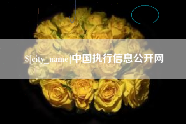 青海中国执行信息公开网