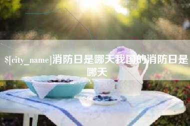 青海消防日是哪天我国的消防日是哪天