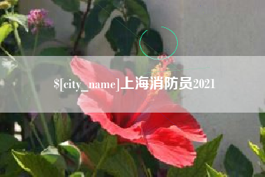青海上海消防员2021