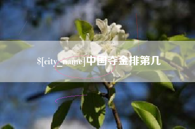 青海中国夺金排第几