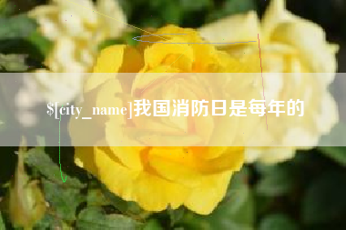青海我国消防日是每年的