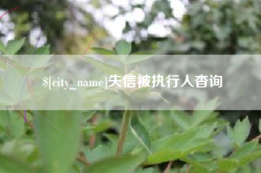 青海失信被执行人杳询