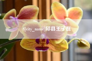 青海邱县王子磊