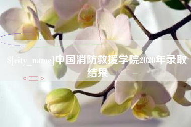 青海中国消防救援学院2020年录取结果
