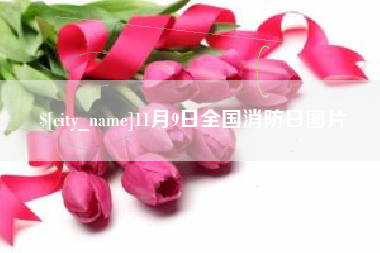 青海11月9日全国消防日图片