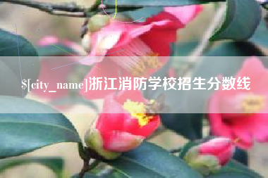 青海浙江消防学校招生分数线
