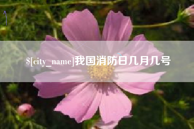 青海我国消防日几月几号
