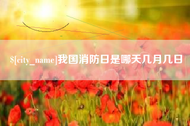 青海我国消防日是哪天几月几日