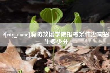 青海消防救援学院报考条件湖南招生多少分