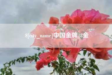 青海中国金牌18金