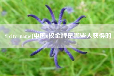 青海中国6枚金牌是哪些人获得的