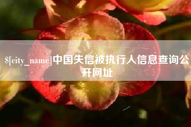 青海中国失信被执行人信息查询公开网址