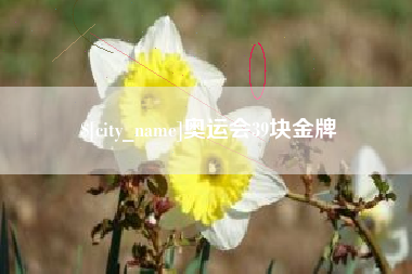 青海奥运会39块金牌