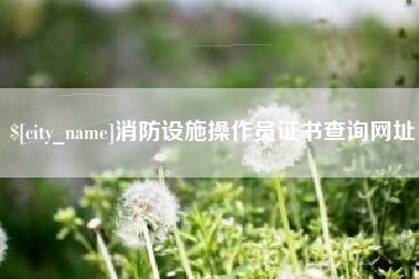 青海消防设施操作员证书查询网址