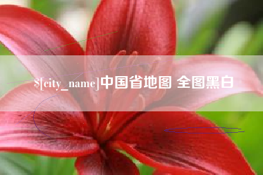 青海中国省地图 全图黑白