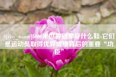 青海5000米世界冠军穿什么鞋-它们是运动员取得优异成绩背后的重要“功臣”