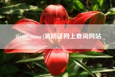 青海消防证网上查询网站