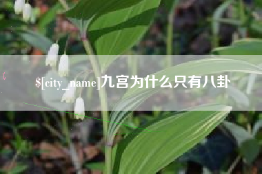 青海九宫为什么只有八卦