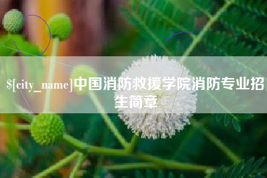 青海中国消防救援学院消防专业招生简章
