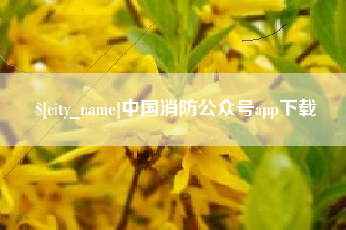 青海中国消防公众号app下载