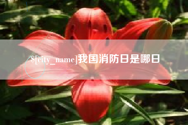 青海我国消防日是哪日
