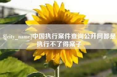 青海中国执行案件查询公开网都是执行不了得案子
