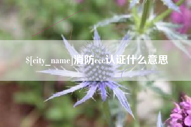 青海消防ccc认证什么意思