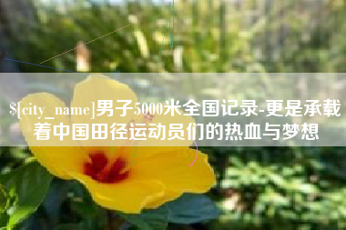 青海男子5000米全国记录-更是承载着中国田径运动员们的热血与梦想